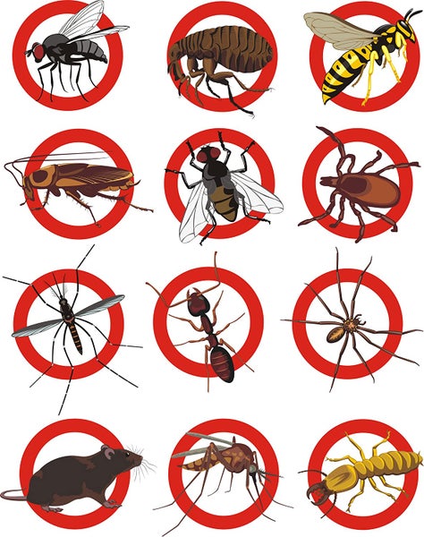 RESCH Magnetischer Insektenschutz Vorhang für Türen 95 x 220cm, Fliegengitter