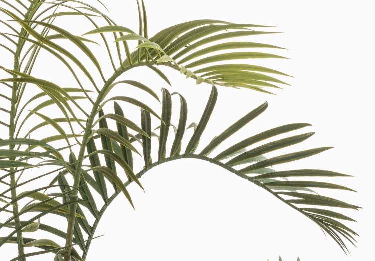 Detailansicht der grünen Palmwedel einer Kunstpflanze.