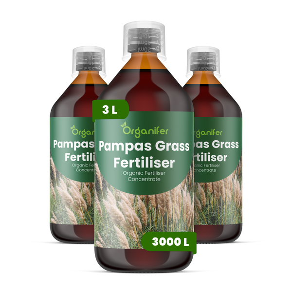 Organifer Bio-Pampasgrasdünger, drei Flaschen Flüssigdünger-Konzentrat, insgesamt drei Liter für dreitausend Liter Düngerlösung.