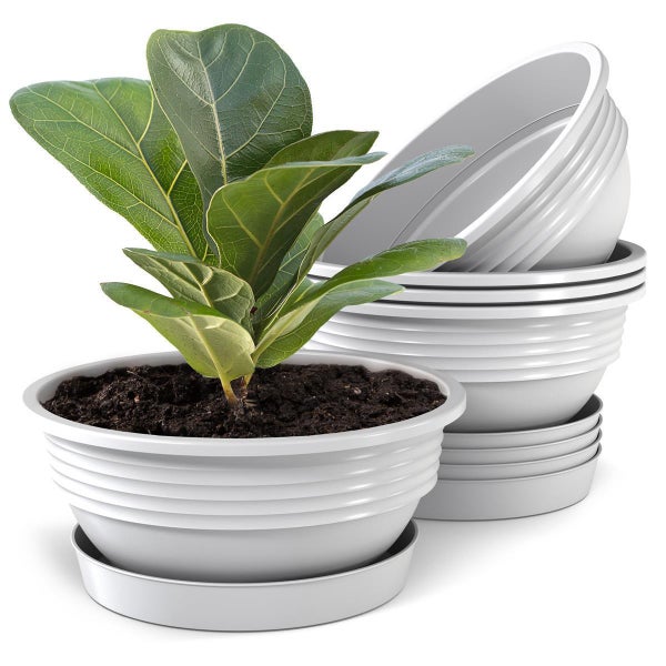 Plastard Pflanzschale 5er-Set in Weiß Ø 32 x 12.5 cm mit Untersetzer – wetterfest, frostbeständig, ideal für Garten, Balkon & Küche