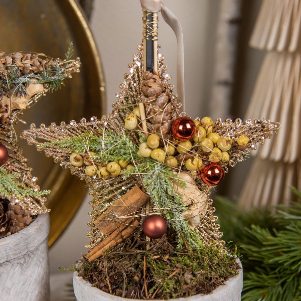 Dekorativer Stern aus Naturmaterialien im Topf