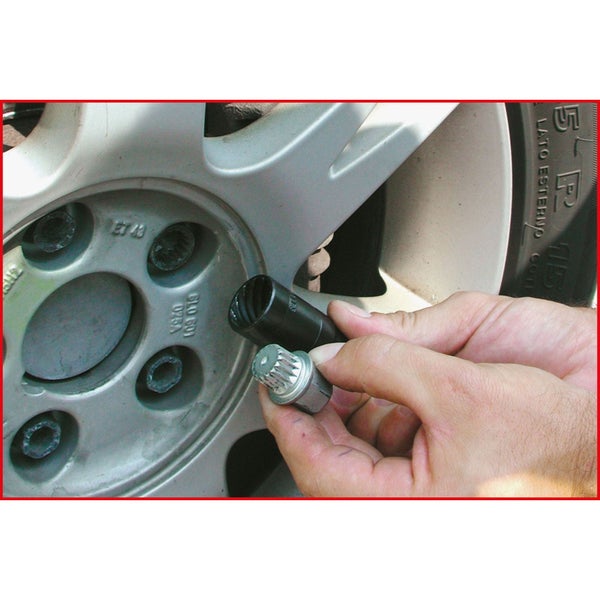 Werkzeugsatz in schwarzem Werkzeugkoffer