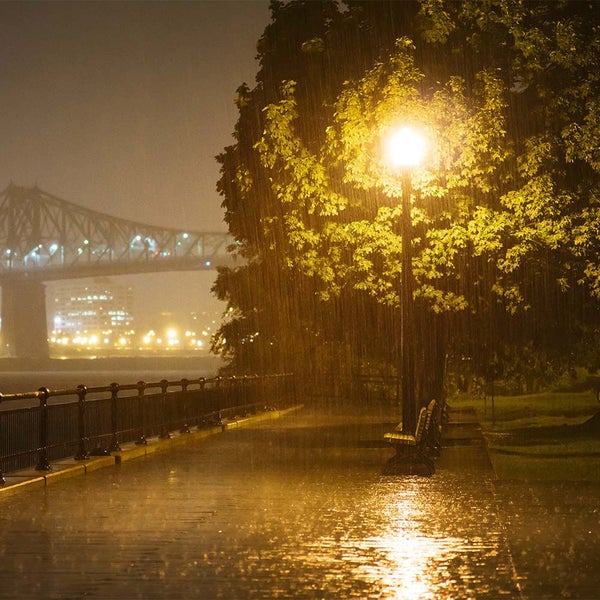 Szene in der Nacht mit Parkbank, Baum und Straßenlaterne bei Regen