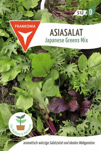 Asiasalat Japanese Greens Mix Saatgutpackung