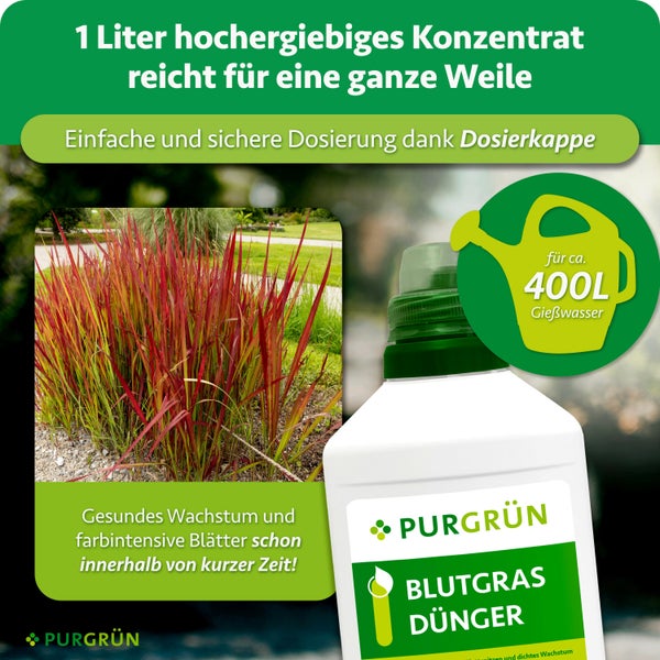 Eine Flasche PURGRÜN Blutgras Dünger mit Dosierkappe für 400 Liter Gießwasser vor einem Foto von roten Blättern und einer grünen Gartenlandschaft.