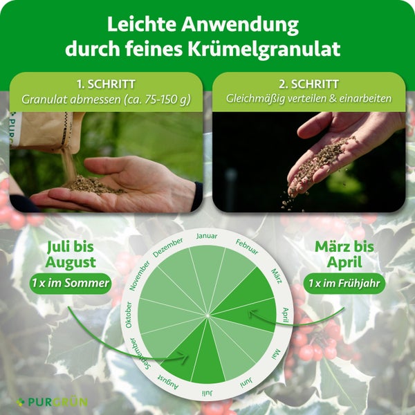 Anwendungshinweise für Purgrün Granulat mit Dosierung und saisonalem Ausbringungskalender für das Frühjahr und den Sommer.