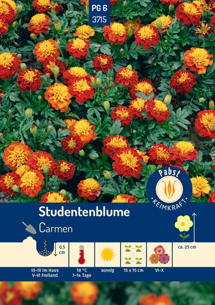 Samentüte Studentenblume Carmen mit Anbauhinweisen: Aussaat, Tiefe null Komma fünf Zentimeter, achtzehn Grad Celsius. Pabst Keimkraft Logo.