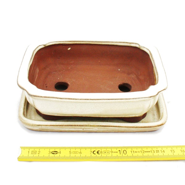 Bonsai-Schale mit Unterteller Gr. 2 hellbeige rechteckig Modell G12 L 15,5cm B 12cm H 4,5cm