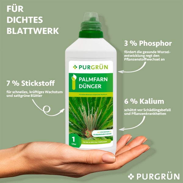 Purgrün Palmfarn-Dünger 1 Liter