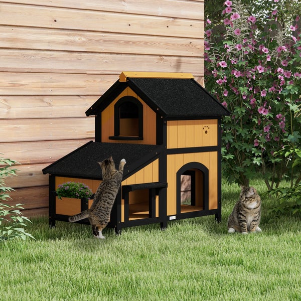 Katzenhaus aus Holz mit zwei Etagen und zwei Katzen