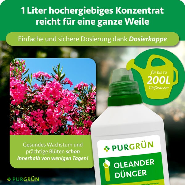 Purgrün Oleander-Dünger Konzentrat, 1 Liter Flasche für 200 Liter Gießwasser, mit Dosierkappe für gesundes Wachstum und Blütenpracht.