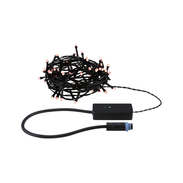 LED Lichterkette mit schwarzem Kabel und Steuerung