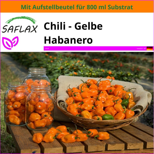 SAFLAX Garden in the bag - Chili - Gelbe Habanero - Capsicum chinense - 10 Samen - Mit Anzuchtsubstrat im praktischen, selbst aufstellenden Beutel