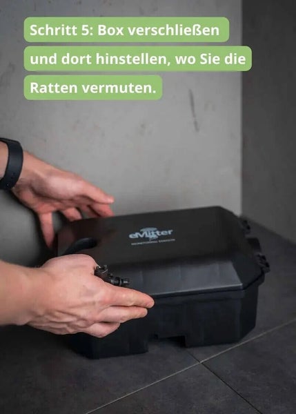 Rattenfalle VANGUARD