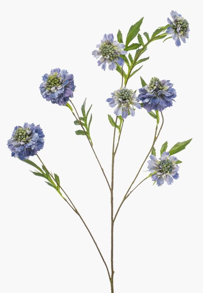 Künstliches Lampenputzergras mit grünen Halmen und rötlichen, flauschigen Blütenähren.