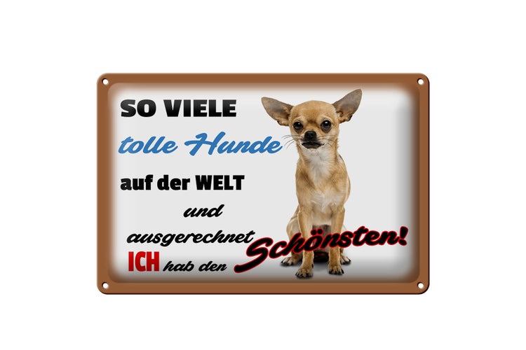 Blechschild Spruch 30x20cm ich hab den schönsten Hund