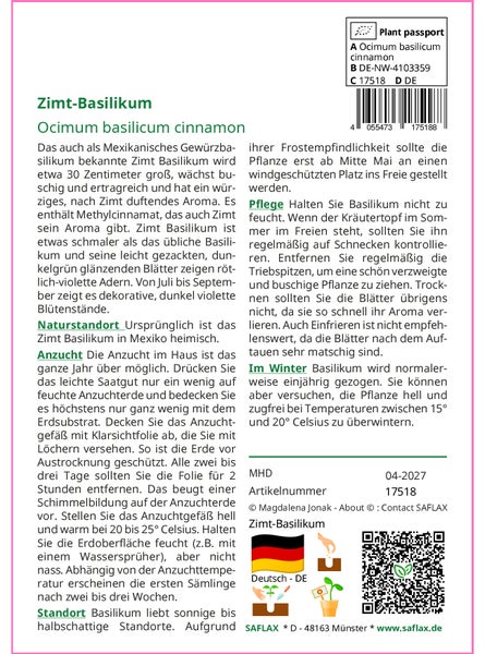 SAFLAX Geschenk Set - Zimt-Basilikum - Ocimum basilicum cinnamon - 200 Samen - Mit Geschenkbox, Versandaufkleber, Geschenkkarte und Anzuchtsubstrat