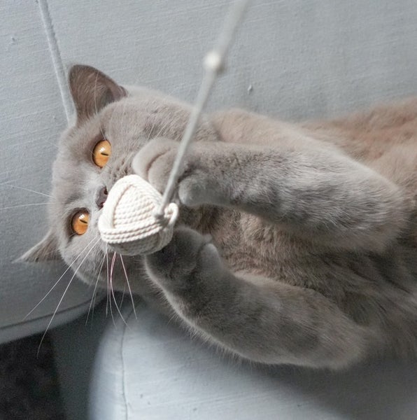 2 Wollknäuel / Katzenbälle aus Wolle. Die Spielbälle für Katzen werden von Hand und mit Liebe in Deutschland gefertigt
