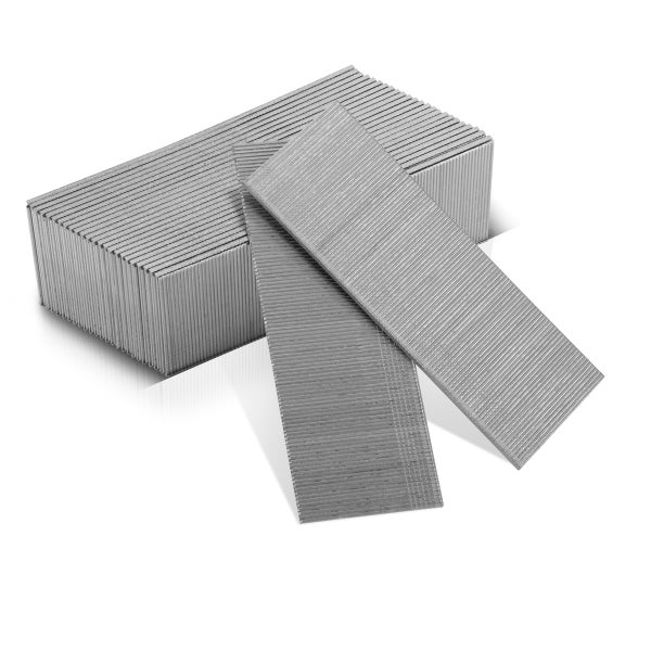 Lorbeerbaum im Topf mit Formschnitt in Baumschule