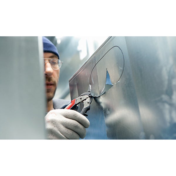 Euphorbia myrsinites Pflanze vor Steinmauer