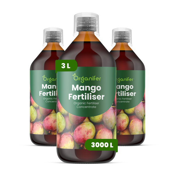 Drei Flaschen Organifer Mango-Dünger, organisches Düngerkonzentrat, 3 Liter für 3000 Liter Düngerlösung.