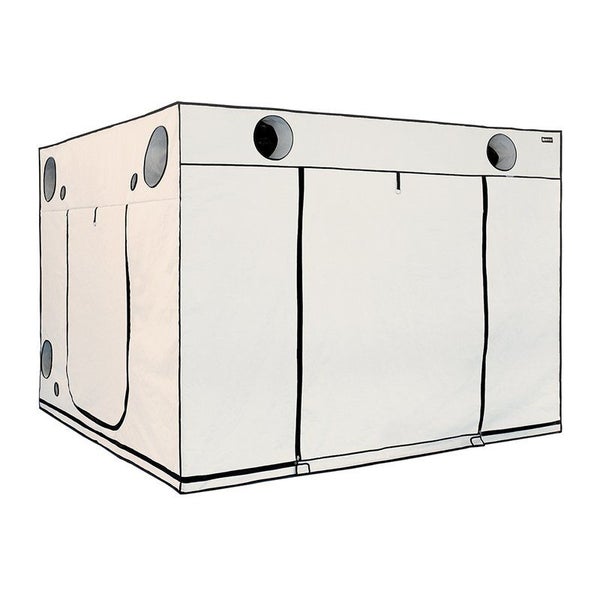 Premium Homebox Ambient Q300 Growbox – 300x300x200 cm, Lichtdichtes Zelt mit hochwertiger Reflektionsbeschichtung & robustem Stecksystem für optimale Indoor Pflanzenzucht