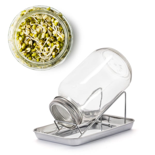 Sprossenglas mit Abtropfschale und Sprossen