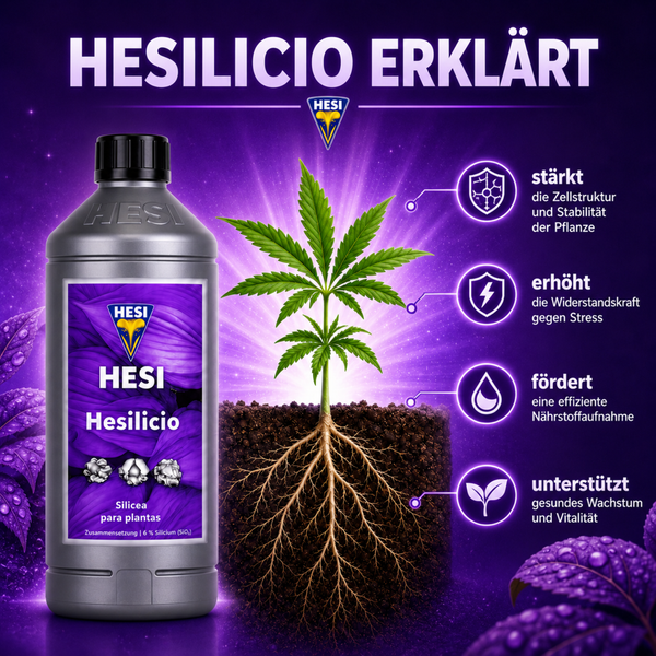 Hesi Hesilicio Pflanzendünger Flasche mit Informationen zu Wirkung und Anwendung für Pflanzenwachstum.