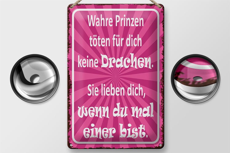 Blechschild Spruch 20x30cm wahre Prinzen töten keine