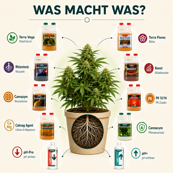 Übersichtsgrafik zur Canna Produktpalette für Pflanzenwachstum mit Anwendungshinweisen für Dünger und Zusätze an einer Pflanze in einem Topf.