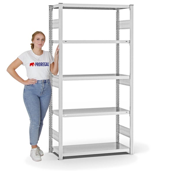 PROREGAL Fachbodenregal Stecksystem T-Profil Heavy-Duty Grundregal HxBxT 200 x 100 x 40 cm 5 Ebenen Fachlast 315 kg Beidseitig Nutzbar Lichtgrau