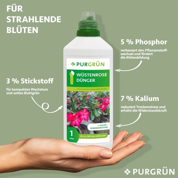 Purgrün Wüstenrose-Dünger 1 Liter