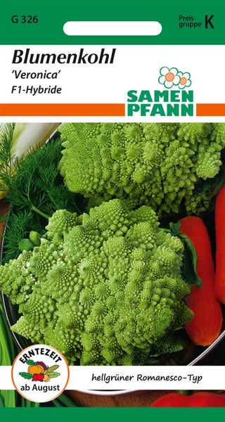 Blumenkohlsamen der Sorte Veronica F1-Hybride