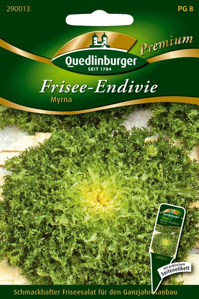 Samentüte für Frisee-Endivie Myrna von Quedlinburger, Abbildung einer krausen Salatsorte, inklusive Sortenetikett und Quedlinburger Logo.