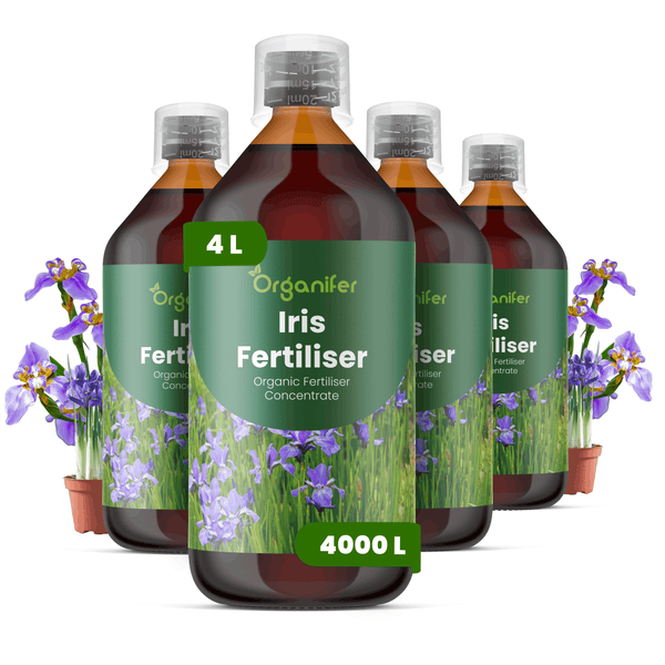 Vier Flaschen Organifer Iris-Dünger, organisches Düngerkonzentrat, 4 Liter, für bis zu 4000 Liter Gießwasser.