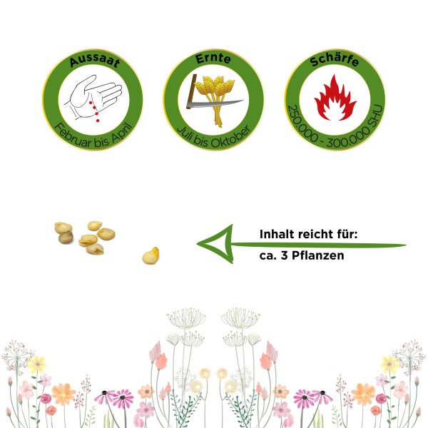 Homie Living Lido Teppich, gewebt aus Polypropylen, hergestellt in der Türkei