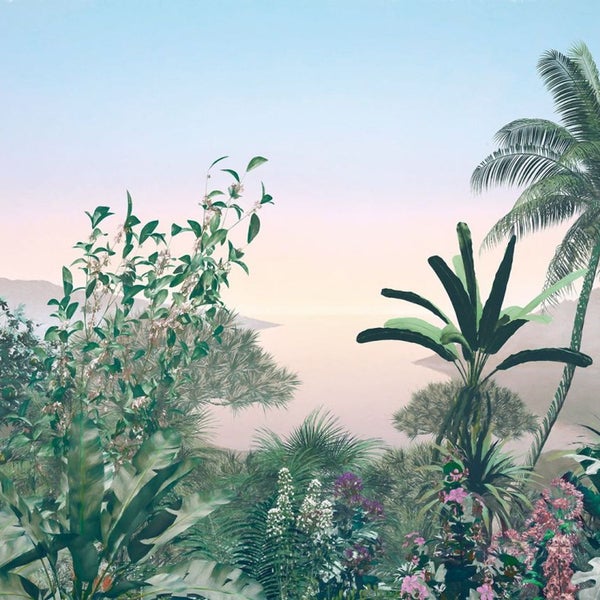 Dekorative Tapete mit tropischem Pflanzenmotiv für Innenräume