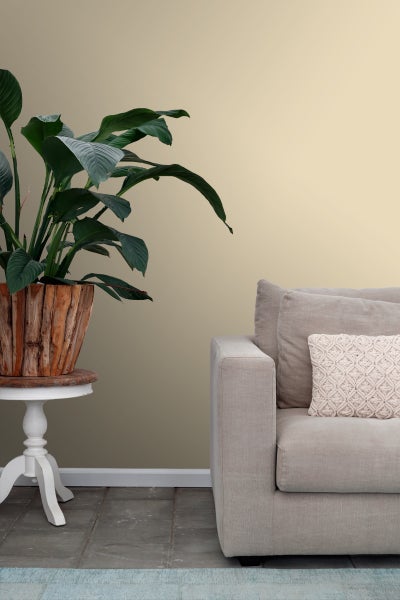 Dekorative Wohnzene mit Zimmerpflanze im Holztopf auf Beistelltisch und Stoffsofa mit Kissen.
