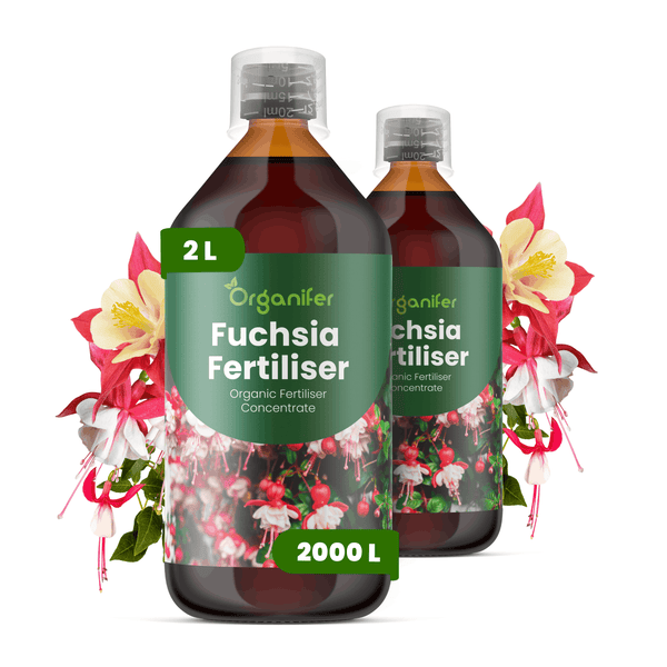 Organifer Fuchsia-Dünger Konzentrat, organischer Flüssigdünger für Fuchsien, zwei Flaschen zu je zwei Litern.