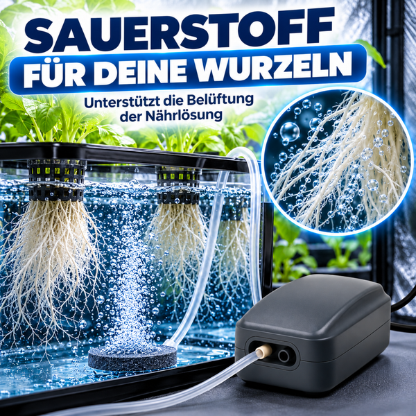 Luftpumpe für Hydrokultur zur Belüftung der Nährlösung mit Sauerstoff für Pflanzenwurzeln.