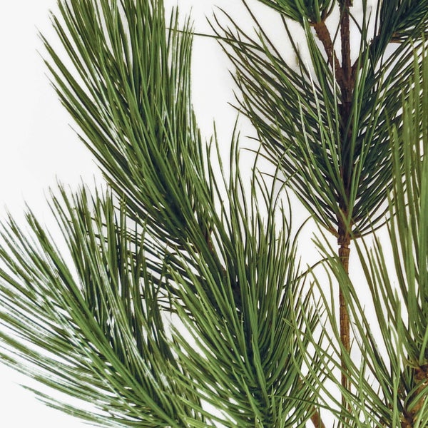 Künstlicher Kiefernzweig mit langen grünen Nadeln und strukturiertem braunem Ast.