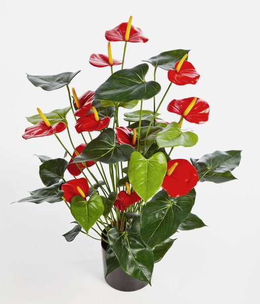 Künstliche Anthurie im Topf mit roten Blüten und grünen Blättern.