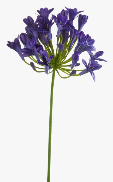 Künstliche Schmucklilie mit lila Blüten und grünen Stielen.