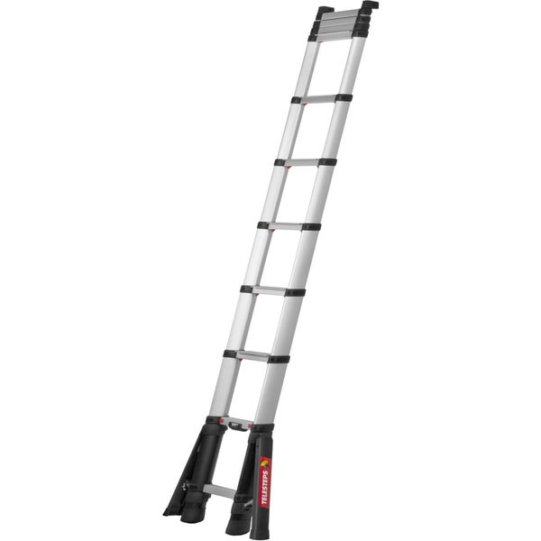 Telesteps Teleskopleiter aus Aluminium mit schwarzen Kunststoffelementen.