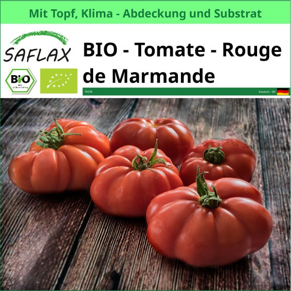 Bio Tomaten Rouge de Marmande von Saflax mit Topf, Klima Abdeckung und Substrat
