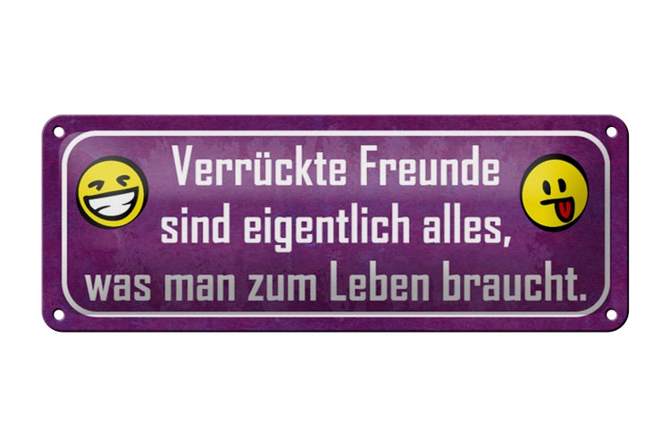 Blechschild Spruch 27x10cm verrückte Freunde sind alles was Dekoration