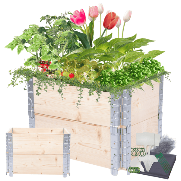 Hochbeetkisten GrowBox HxBxT 40x60x40 cm 2 Ebenen Holz Natur