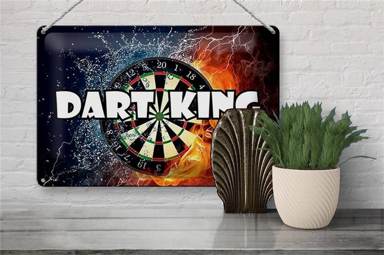 Blechschild Spruch 30x20cm Darts Dart King Wanddeko