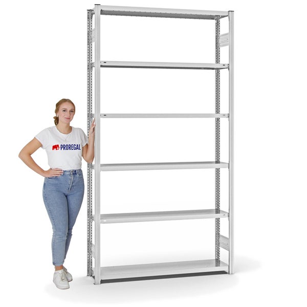 PROREGAL Fachbodenregal Stecksystem T-Profil Light-Duty Grundregal HxBxT 250 x 130 x 30 cm 6 Ebenen Fachlast 175 kg Beidseitig Nutzbar Lichtgrau