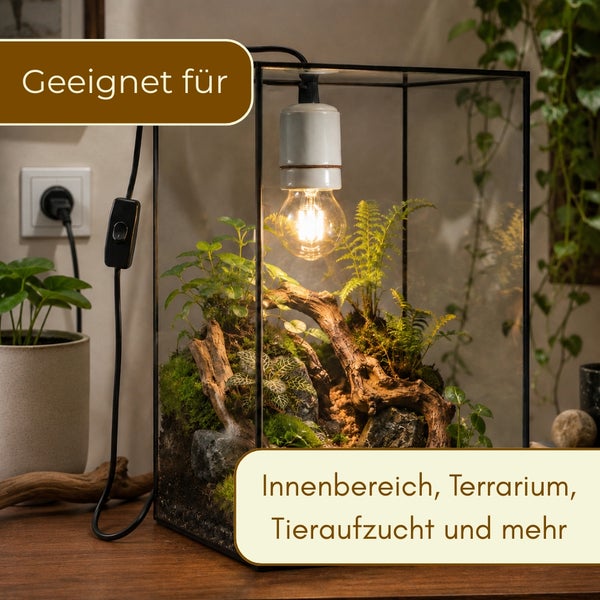 Lampe mit Keramikfassung in einem bepflanzten Terrarium, geeignet für Innenbereiche, Tieraufzucht und weitere Anwendungen.